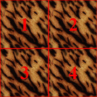 Tiger texture